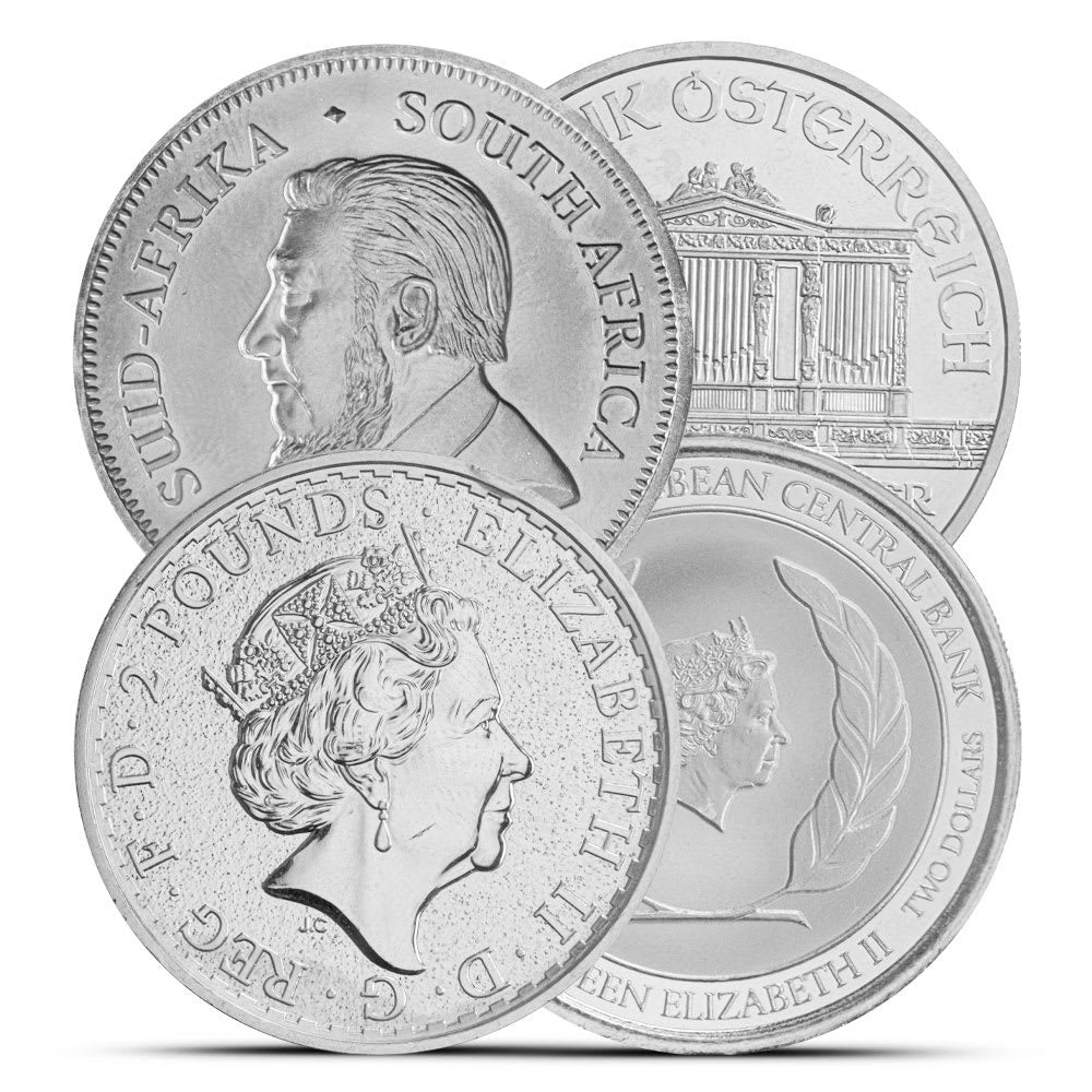 1 oz Silver Coin (Varied Condition, Any Mint)
